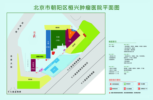 日骚逼网址北京市朝阳区桓兴肿瘤医院平面图